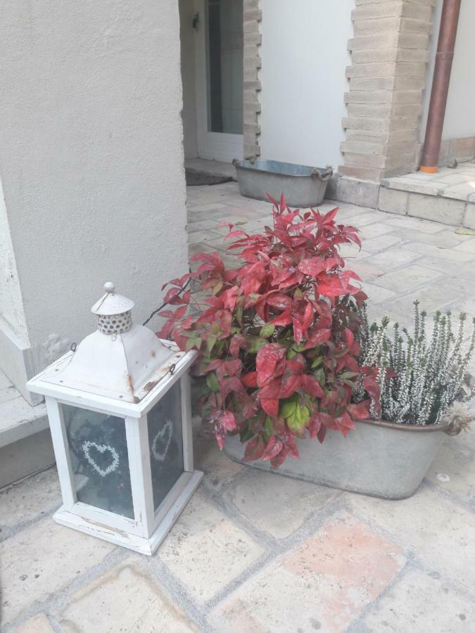 Il Gatto E Il Violino Lido di Fermo Exterior foto
