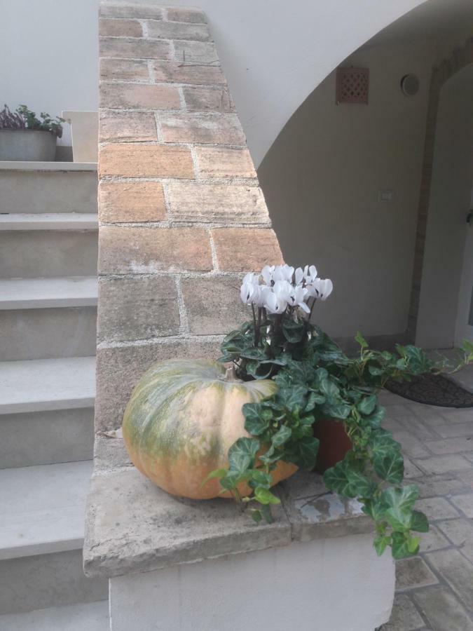 Il Gatto E Il Violino Lido di Fermo Exterior foto