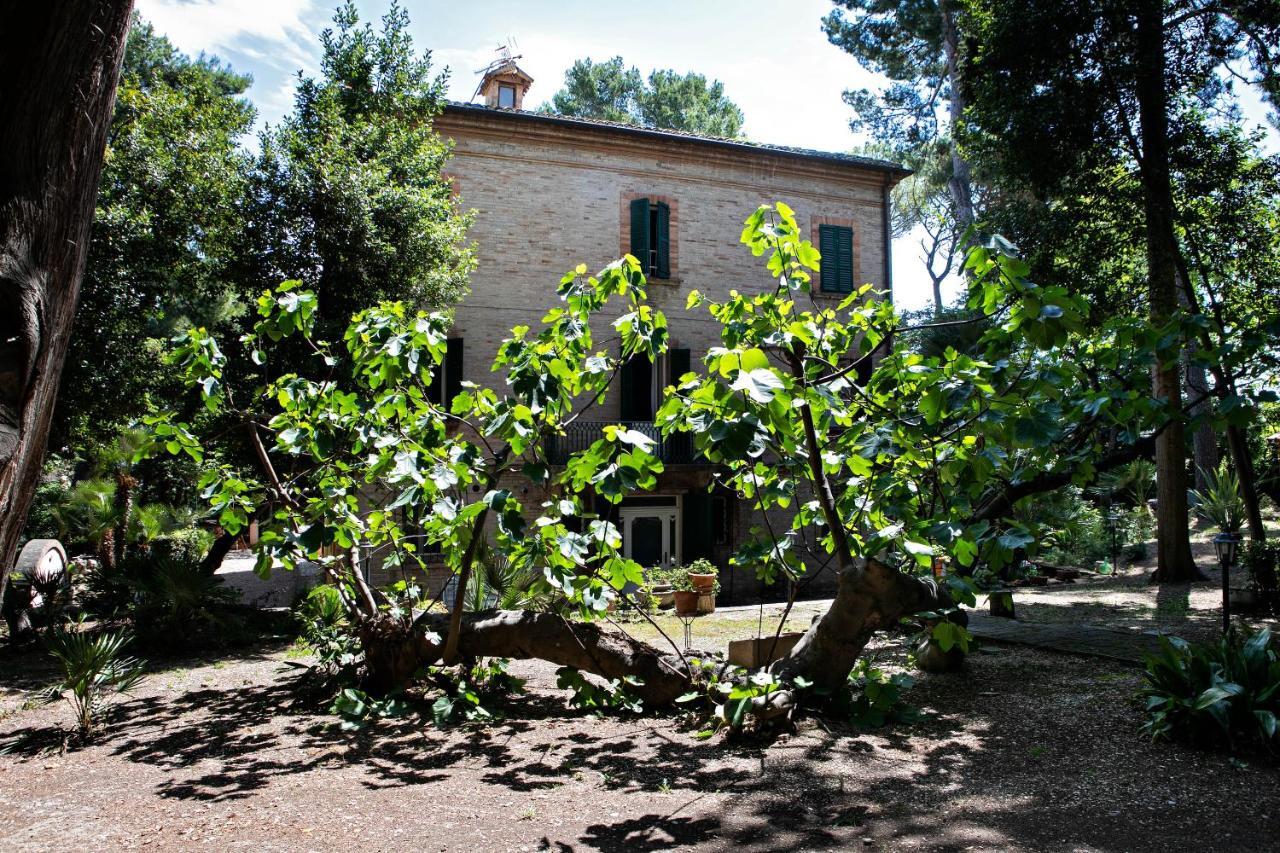 Il Gatto E Il Violino Lido di Fermo Exterior foto